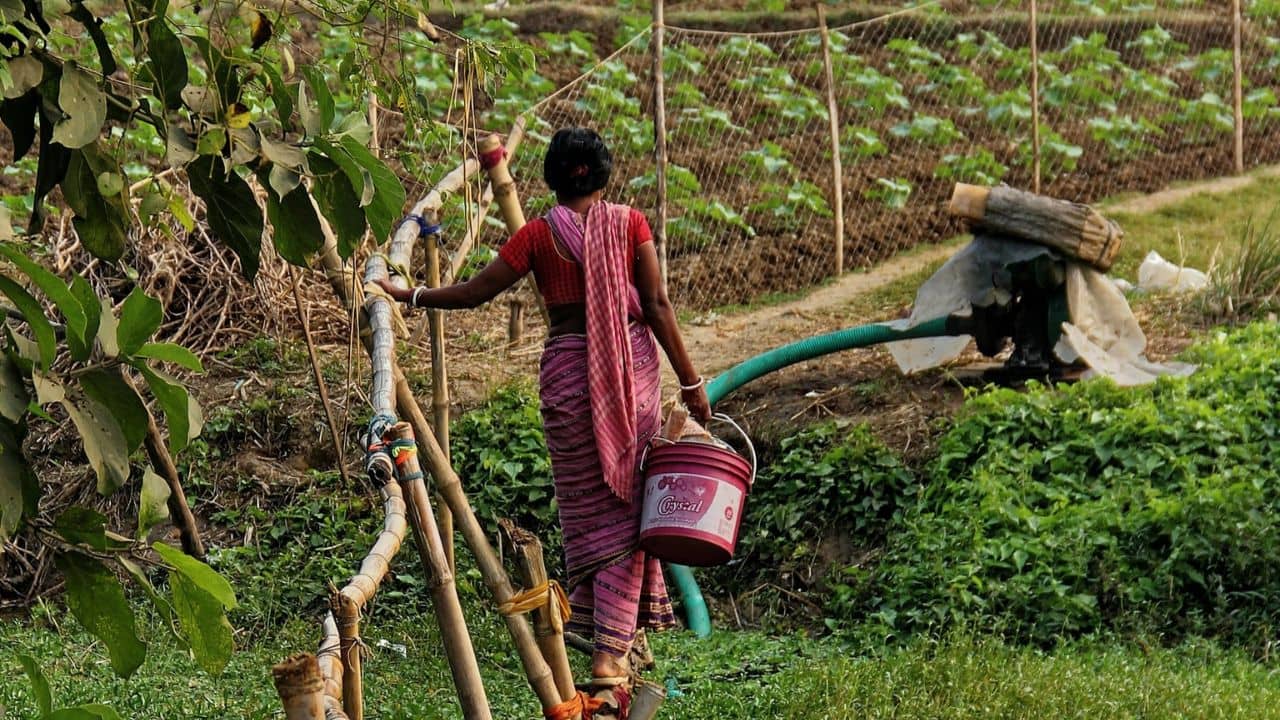 agriculture biodiversity