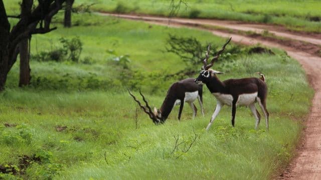 Farmer-Led Biodiversity Mapping