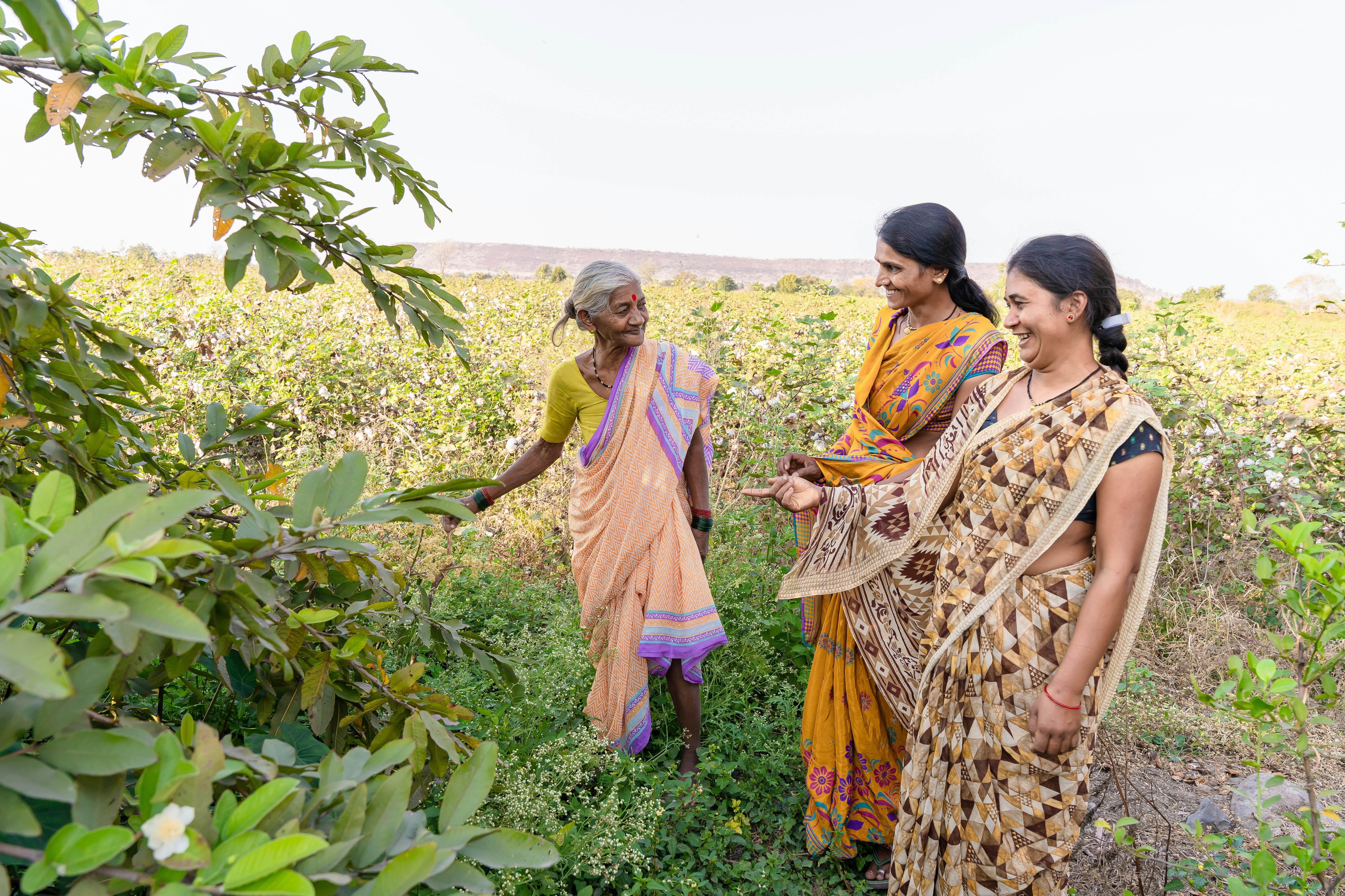 Village Group